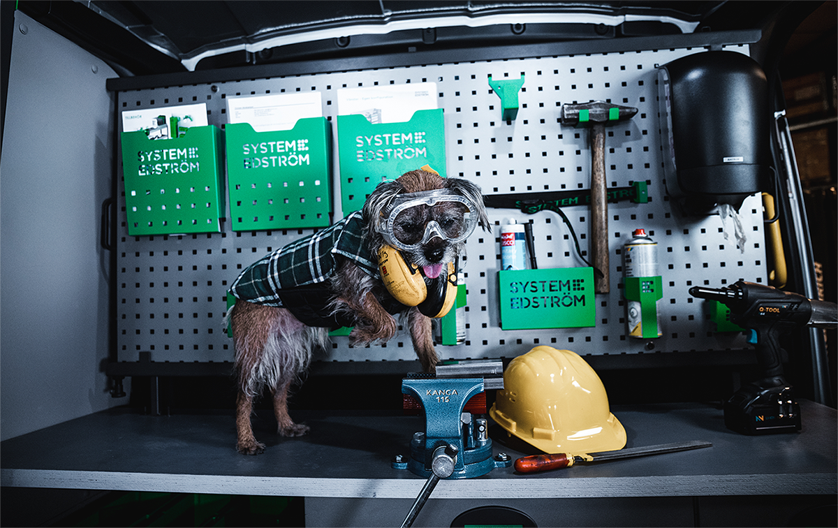 dog_converting_van